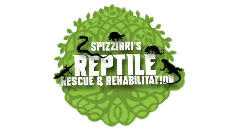 Spizzirri's Reptile Rescue & Rehabilitation